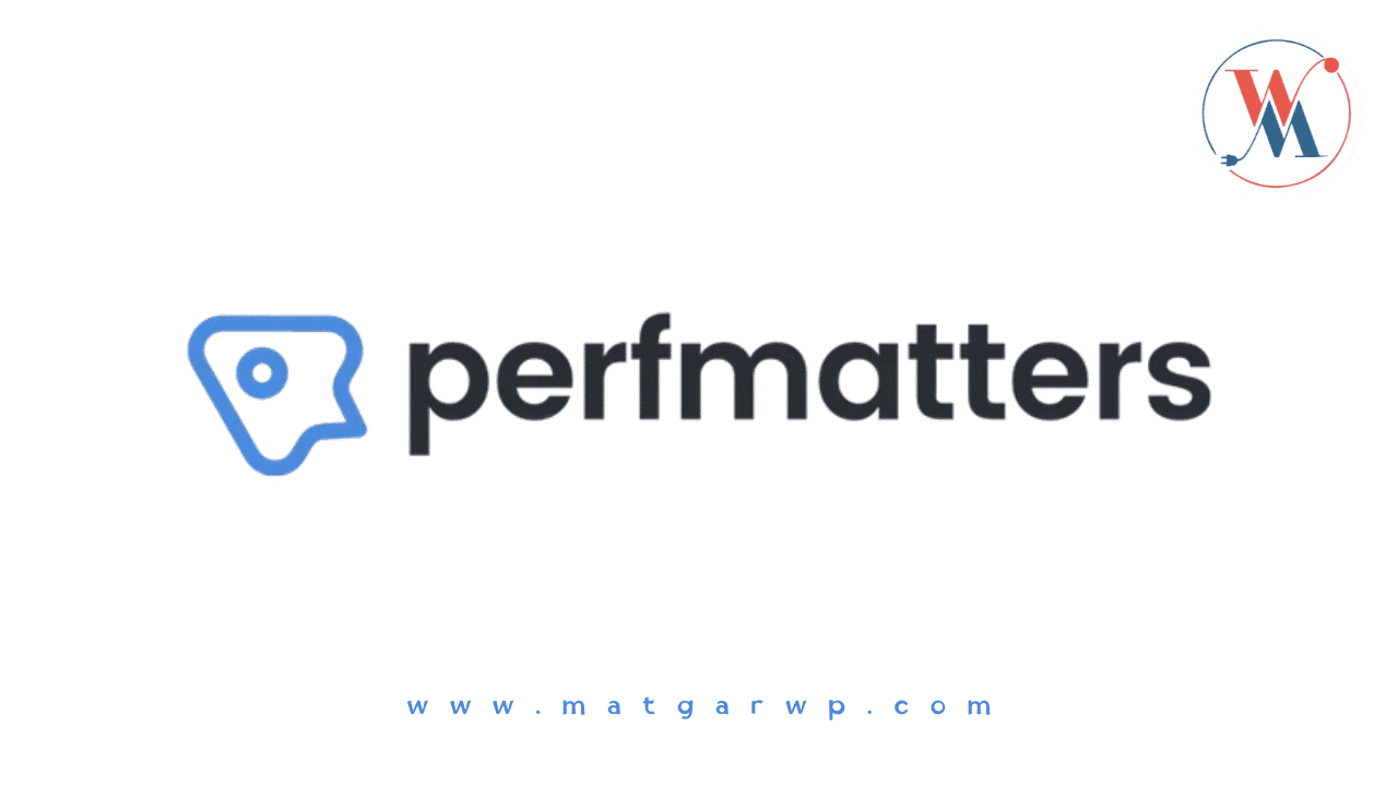 مميزات إضافة Perfmatters