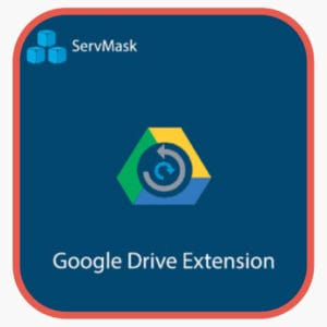 All in one WP Migration Google Drive Extension